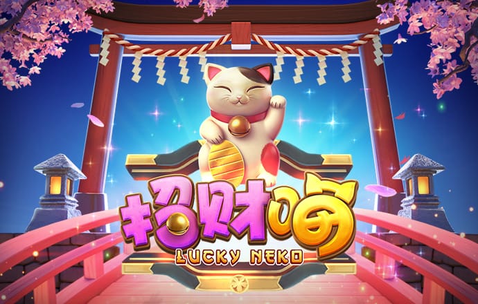 51大豆行情网