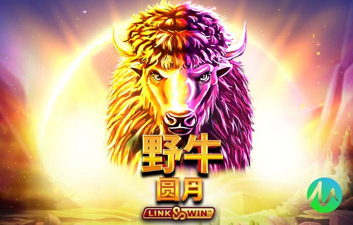 9球体育官网直播