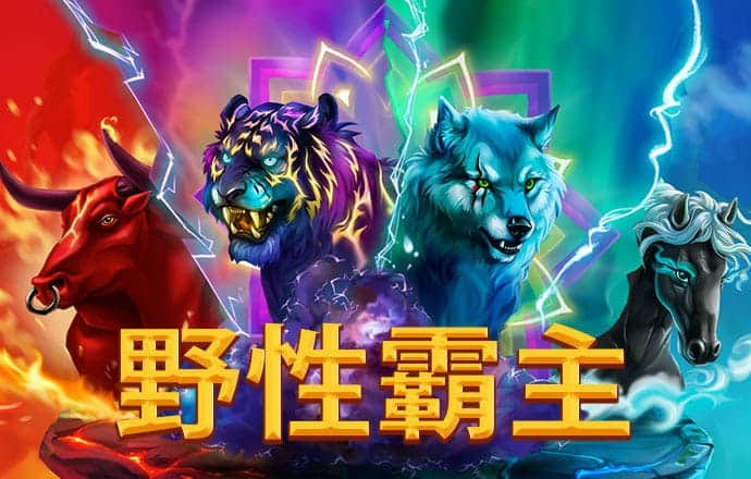 ng娱乐下载官网